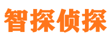 澄城市私家侦探